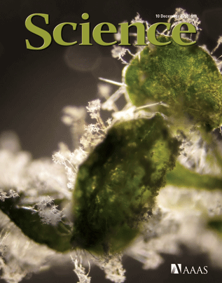 Science – Spanu 2010